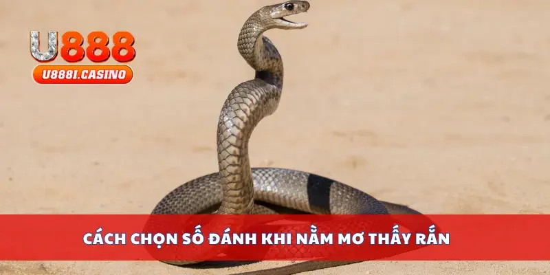 Cách chọn số đánh khi nằm mơ thấy rắn