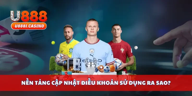 Nền tảng cập nhật điều khoản sử dụng ra sao?