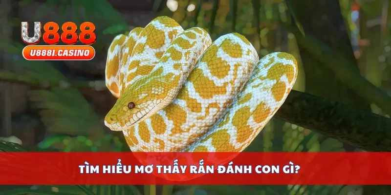 Tìm hiểu mơ thấy rắn đánh con gì?